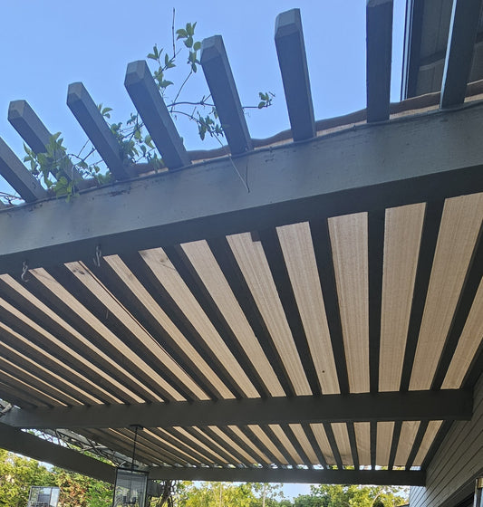 Pergola Sunshade